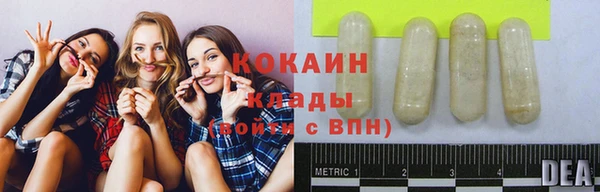 спайс Богородицк