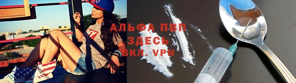 винт Богданович