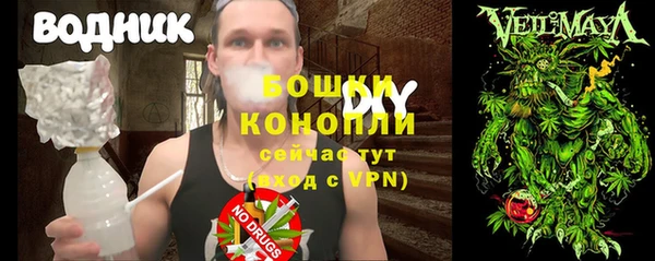 винт Богданович