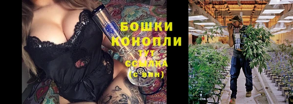 ГАЛЛЮЦИНОГЕННЫЕ ГРИБЫ Богородск