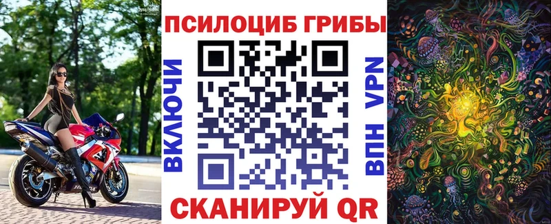 Псилоцибиновые грибы мухоморы  даркнет сайт  blacksprut ONION  Чегем 